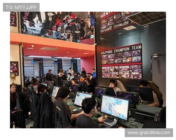 完美电竞国际版实现多平台同步，打造无缝连接的电竞体验